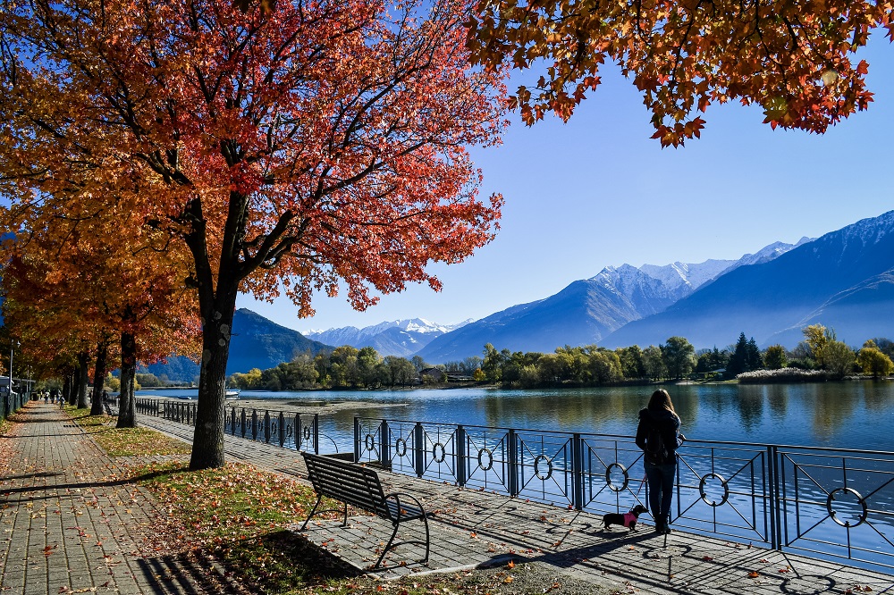 Scopri come i nostri esperti gestione affitti brevi Como possono massimizzare il tuo investimento immobiliare con soluzioni innovative e personalizzate.